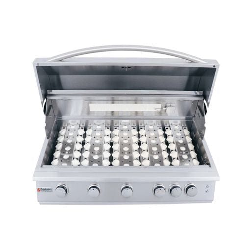 RCS 40" Premier Grill W/ Rear Burner & Blue LEDs
